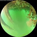 ./images/calvert/underwater/20260624/underwater20260624_181001M.jpg