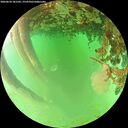 ./images/calvert/underwater/20260624/underwater20260624_181502M.jpg