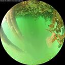 ./images/calvert/underwater/20260624/underwater20260624_182002M.jpg