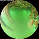 ./images/calvert/underwater/20260624/underwater20260624_182501M.jpg