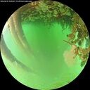 ./images/calvert/underwater/20260624/underwater20260624_183001M.jpg