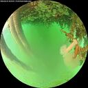 ./images/calvert/underwater/20260624/underwater20260624_183502M.jpg