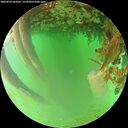 ./images/calvert/underwater/20260624/underwater20260624_184502M.jpg