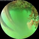 ./images/calvert/underwater/20260624/underwater20260624_185001M.jpg