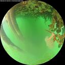 ./images/calvert/underwater/20260624/underwater20260624_185501M.jpg