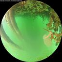 ./images/calvert/underwater/20260624/underwater20260624_190001M.jpg