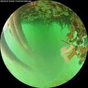 ./images/calvert/underwater/20260624/underwater20260624_191002M.jpg