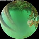 ./images/calvert/underwater/20260624/underwater20260624_192002M.jpg