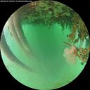 ./images/calvert/underwater/20260624/underwater20260624_192501M.jpg