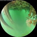 ./images/calvert/underwater/20260624/underwater20260624_193001M.jpg