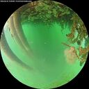 ./images/calvert/underwater/20260624/underwater20260624_194001M.jpg