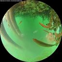 ./images/calvert/underwater/20260624/underwater20260624_194501M.jpg