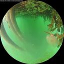 ./images/calvert/underwater/20260624/underwater20260624_195001M.jpg