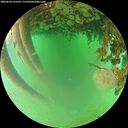 ./images/calvert/underwater/20260624/underwater20260624_195502M.jpg