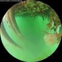 ./images/calvert/underwater/20260624/underwater20260624_200002M.jpg
