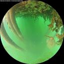 ./images/calvert/underwater/20260624/underwater20260624_200501M.jpg