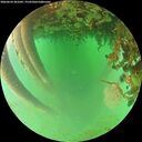 ./images/calvert/underwater/20260624/underwater20260624_201001M.jpg