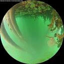./images/calvert/underwater/20260624/underwater20260624_202502M.jpg