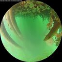 ./images/calvert/underwater/20260624/underwater20260624_203002M.jpg