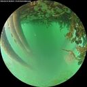 ./images/calvert/underwater/20260624/underwater20260624_204001M.jpg