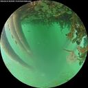 ./images/calvert/underwater/20260624/underwater20260624_205001M.jpg