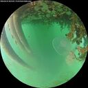 ./images/calvert/underwater/20260624/underwater20260624_205501M.jpg