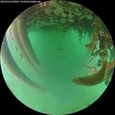 ./images/calvert/underwater/20260624/underwater20260624_210001M.jpg