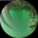 ./images/calvert/underwater/20260624/underwater20260624_210501M.jpg