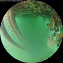 ./images/calvert/underwater/20260624/underwater20260624_211002M.jpg