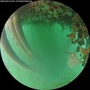 ./images/calvert/underwater/20260624/underwater20260624_211501M.jpg