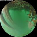 ./images/calvert/underwater/20260624/underwater20260624_212002M.jpg