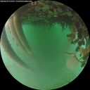 ./images/calvert/underwater/20260624/underwater20260624_212501M.jpg
