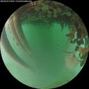 ./images/calvert/underwater/20260624/underwater20260624_213001M.jpg