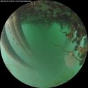 ./images/calvert/underwater/20260624/underwater20260624_213501M.jpg