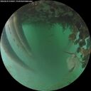 ./images/calvert/underwater/20260624/underwater20260624_214001M.jpg