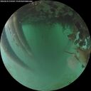 ./images/calvert/underwater/20260624/underwater20260624_214501M.jpg