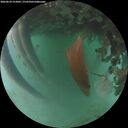 ./images/calvert/underwater/20260624/underwater20260624_215002M.jpg