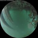 ./images/calvert/underwater/20260624/underwater20260624_215501M.jpg