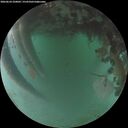 ./images/calvert/underwater/20260624/underwater20260624_220001M.jpg