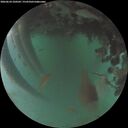 ./images/calvert/underwater/20260624/underwater20260624_220501M.jpg