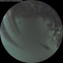 ./images/calvert/underwater/20260624/underwater20260624_221502M.jpg