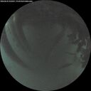 ./images/calvert/underwater/20260624/underwater20260624_222001M.jpg