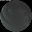 ./images/calvert/underwater/20260624/underwater20260624_222501M.jpg