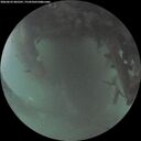 ./images/calvert/underwater/20260625/underwater20260625_045501M.jpg