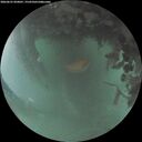 ./images/calvert/underwater/20260625/underwater20260625_050001M.jpg