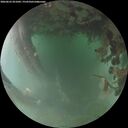 ./images/calvert/underwater/20260625/underwater20260625_051001M.jpg