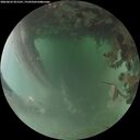 ./images/calvert/underwater/20260625/underwater20260625_051501M.jpg