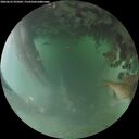 ./images/calvert/underwater/20260625/underwater20260625_052001M.jpg