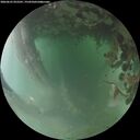 ./images/calvert/underwater/20260625/underwater20260625_052501M.jpg