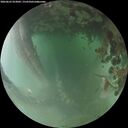 ./images/calvert/underwater/20260625/underwater20260625_053001M.jpg